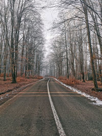 Road amidst trees in forest