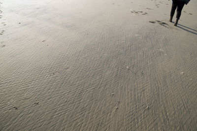 Low section of person walking on beach