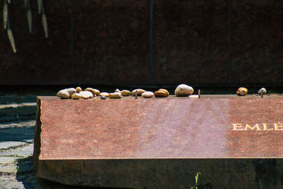 High angle view of cupcakes on wood
