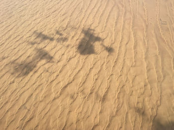 Full frame shot of sand