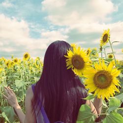 Rear view of woman standing in sunflower field against sky