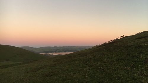 Scenic view of landscape at sunset