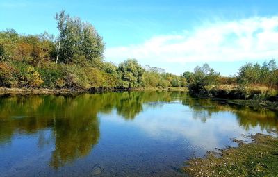 Scenic view of lake in forest against sky