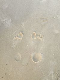 High angle view of footprints on beach