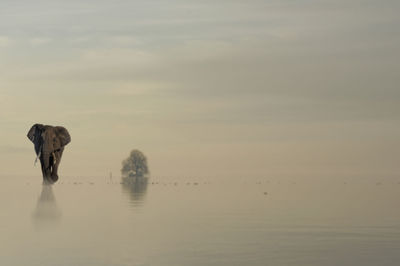 View of a lake