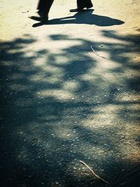 Shadow of people on road