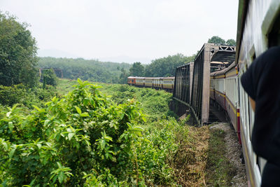 Train by trees against sky