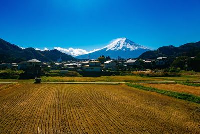 Scenic view of agricultural field against sky