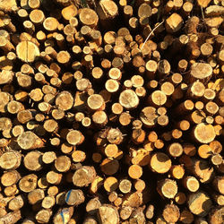 Full frame of firewood