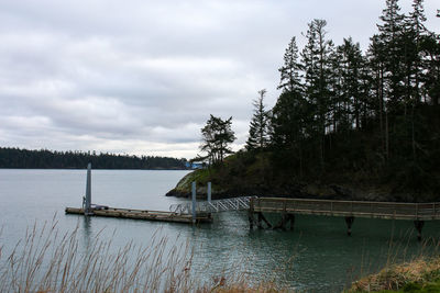 Scenic view of lake in forest against sky