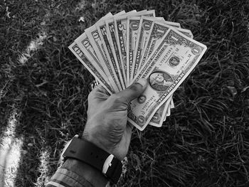 Cropped hand holding paper currency against plants