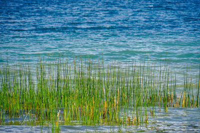 Scenic view of sea