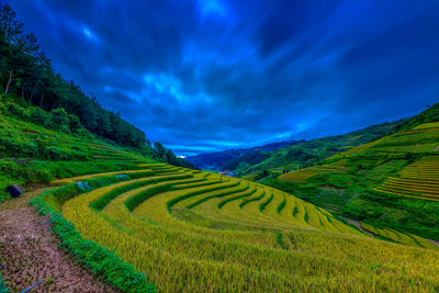 Scenic view of agricultural field against sky