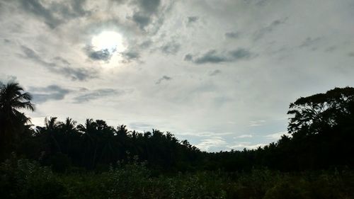 Scenic view of grassy field against cloudy sky