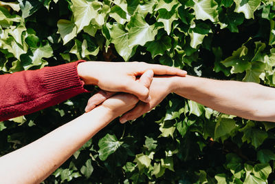 Cropped hand of woman holding hands