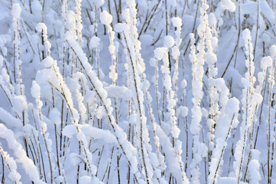 Full frame shot of snow