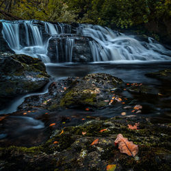 View of waterfall in forest