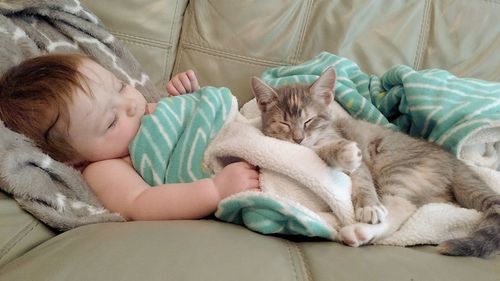 Cute baby girl sleeping with cat on sofa at home