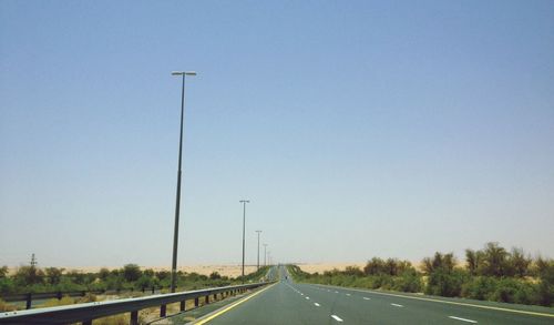 Empty road along trees