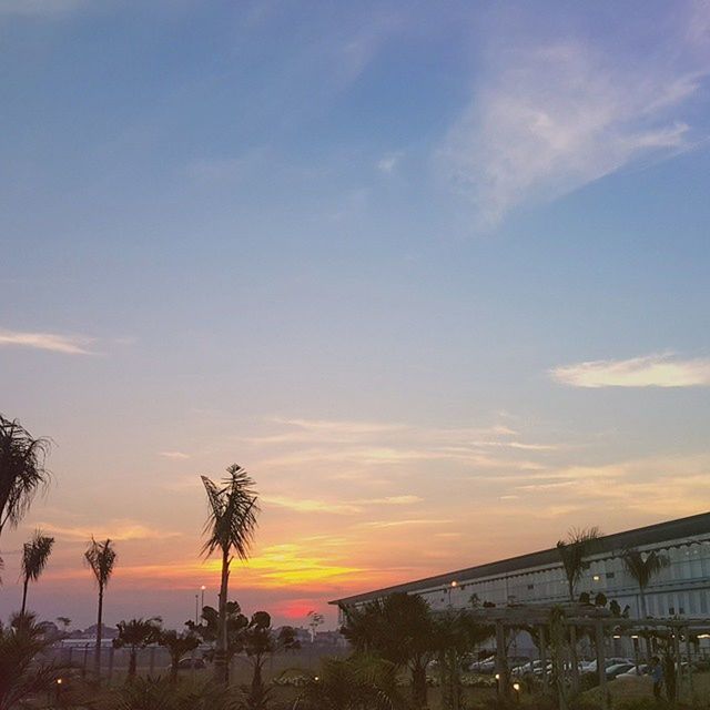 sunset, sky, tree, building exterior, built structure, architecture, cloud - sky, beauty in nature, orange color, nature, palm tree, cloud, incidental people, scenics, silhouette, outdoors, large group of people, tranquility, tranquil scene