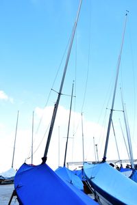 Sailboat in sea