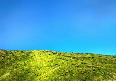 Scenic view of landscape against clear blue sky