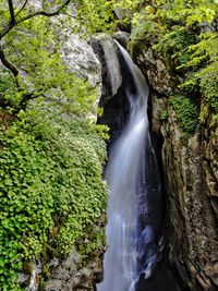 View of waterfall in forest