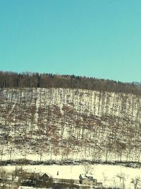 Scenic view of farm against clear sky