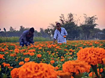 View of people standing on field against orange sky