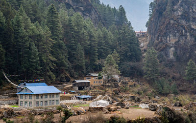 High angle view of trees and buildings in forest