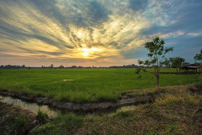 Scenic view of field against sky during sunset