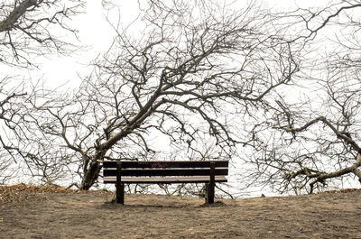 Bench by bare tree in park against sky