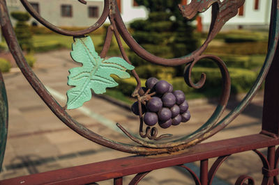 Decorative grape and vine leaves forged on iron gate in a winery near bento gonçalves. brazil.