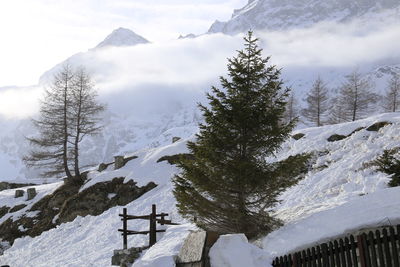 Low clouds against the snowy mountain