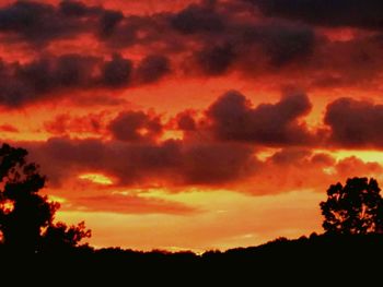 Low angle view of silhouette trees against dramatic sky