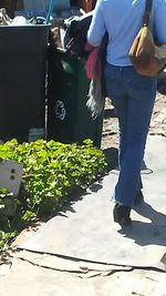 Low section of man working on plants