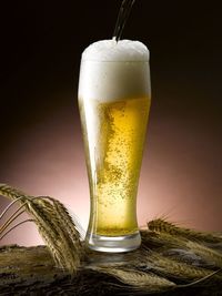 Close-up of beer glass on table