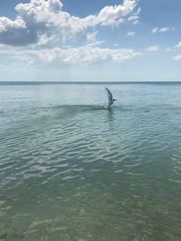 Scenic view of sea against sky