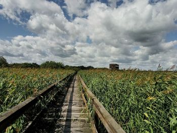 Surface level of agricultural field against sky