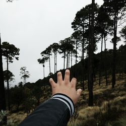 Low section of man legs against trees
