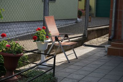 Potted plant on footpath against building