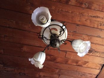 High angle view of white rose on hardwood floor