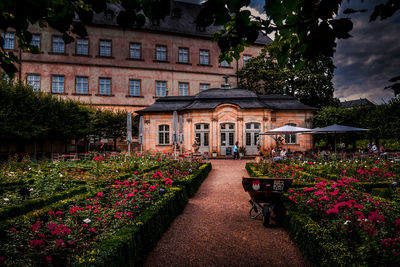 View of flowering plants in garden