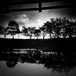 Reflection of trees in lake against sky