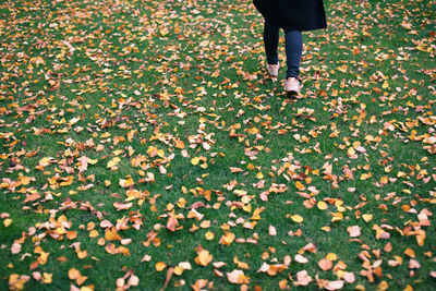 Low section of person standing on leaves