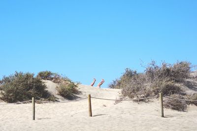 Low section of people at sandy beach against clear blue sky