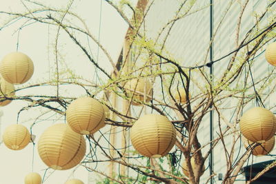 Low angle view of lanterns hanging against sky