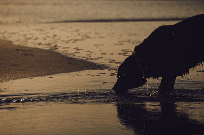 Man at beach against sky