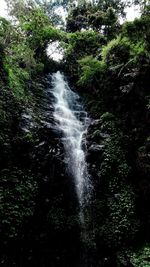 Water flowing through rocks in forest