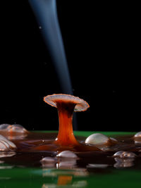Close-up of water over black background